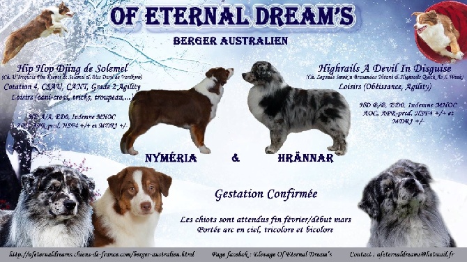 Of Eternal Dreams - Gestation confirmée !!!
